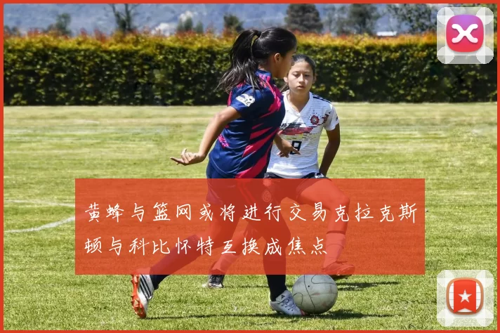 黄蜂与篮网或将进行交易克拉克斯顿与科比怀特互换成焦点